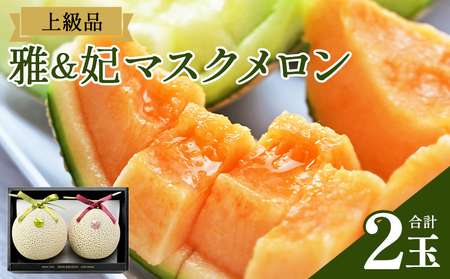 マスクメロン 2玉 食べ比べ メロン tn-0027