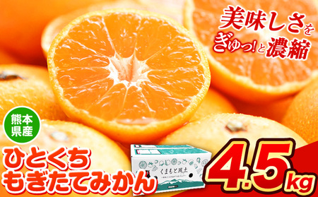 訳あり みかん ひとくちもぎたてみかん 約 4.5kg (4.5kg×1箱) S-3Sサイズ 訳あり ご家庭用 熊本県産 期間限定 フルーツ 果物 旬 小玉 みかん《9月下旬-12月下旬頃出荷》