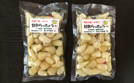 【みんなの広場・風】手作り甘酢らっきょう160g×2袋セット【福祉施設提供】《30日以内に出荷予定(土日祝除く)》