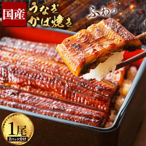 【2パック分け】鰻 国産 うなぎ かば焼き 1尾 小分け 約 160g うな藤《30日以内に出荷予定(土日祝除く)》千葉県 我孫子市  丑の日 炭火 鰻 ウナギ ギフト 真空パック タレ 山椒 冷凍 贈り物 プレゼント お祝い お取り寄せ ギフト