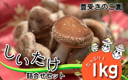 【豊受きのこ園】しいたけ詰め合わせセット《30日以内に出荷予定(土日祝除く)》LifeSS株式会社