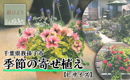 季節の寄せ植え Lサイズ