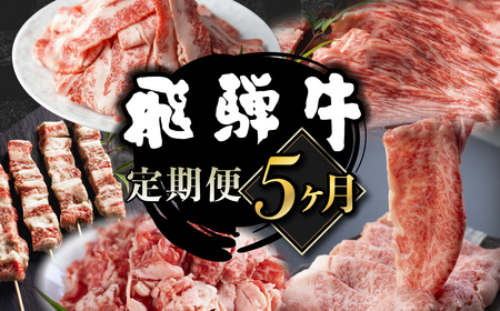 【固定月にお届け】飛騨牛 5回定期便 （スライス すき焼き しゃぶしゃぶ 焼肉 牛串 ）5回 お楽しみ 食べ比べ 牛肉 肉 和牛[Q1675yx]