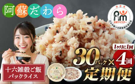 【定期便4ヶ月】阿蘇だわら 十六雑穀ごはん パックライス 160g×30パック 十六雑穀 雑穀 ごはん 米  香り 甘み  国産 定期便 お米