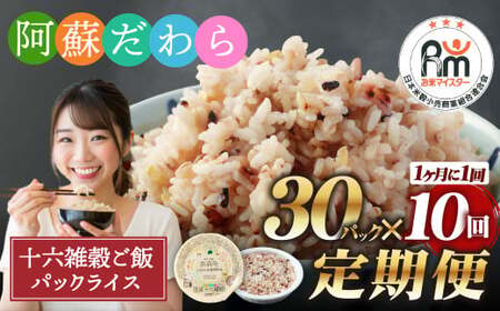 【定期便10ヶ月】阿蘇だわら 十六雑穀ごはん パックライス 160g×30パック 十六雑穀 雑穀 ごはん 米  香り 甘み  国産 定期便 お米