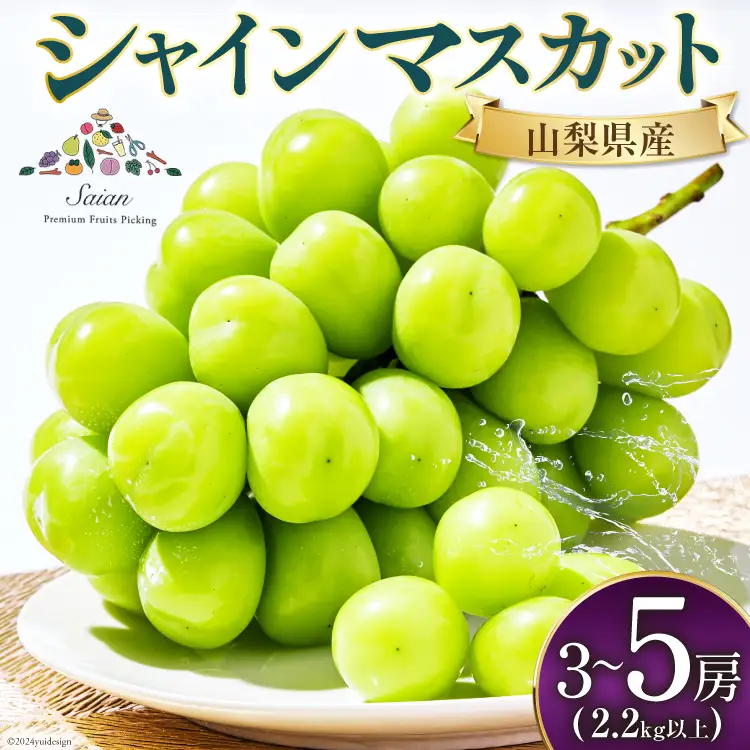 【2026年発送】先行受付 シャインマスカット 予約 3～5房 約 2.2kg 以上 シャイン マスカット 山梨 フルーツ 果物 くだもの マスカット シャイン ブドウ ぶどう 葡萄 種無し 山梨県産 期間限定 季節限定 冷蔵 農福連携 [斎庵 山梨県 韮崎市 20745281]