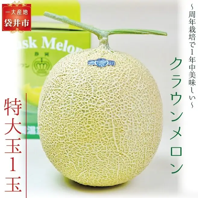 クラウンメロン（白等級）特大玉 １玉入 
