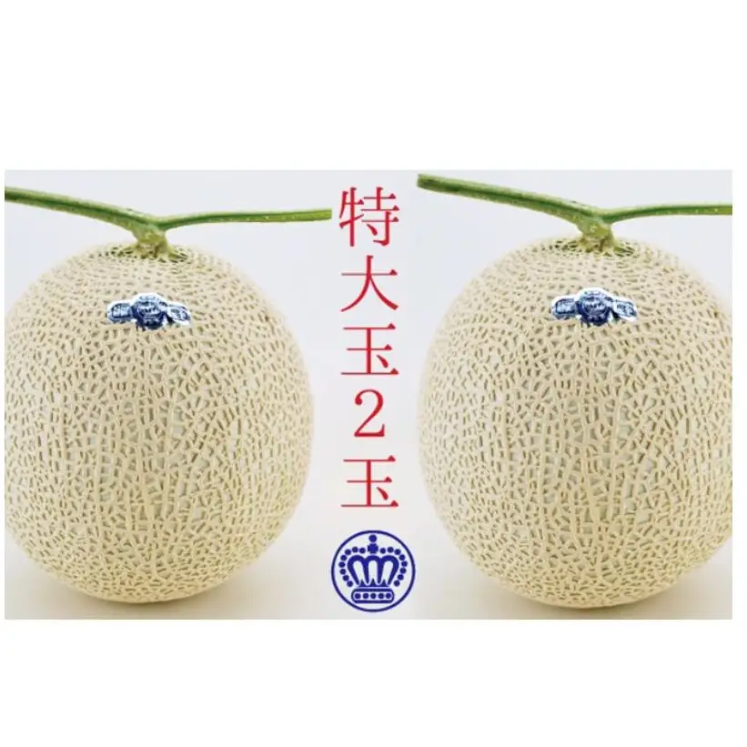 クラウンメロン（白等級）特大玉 ２玉入 果物類 メロン青肉 