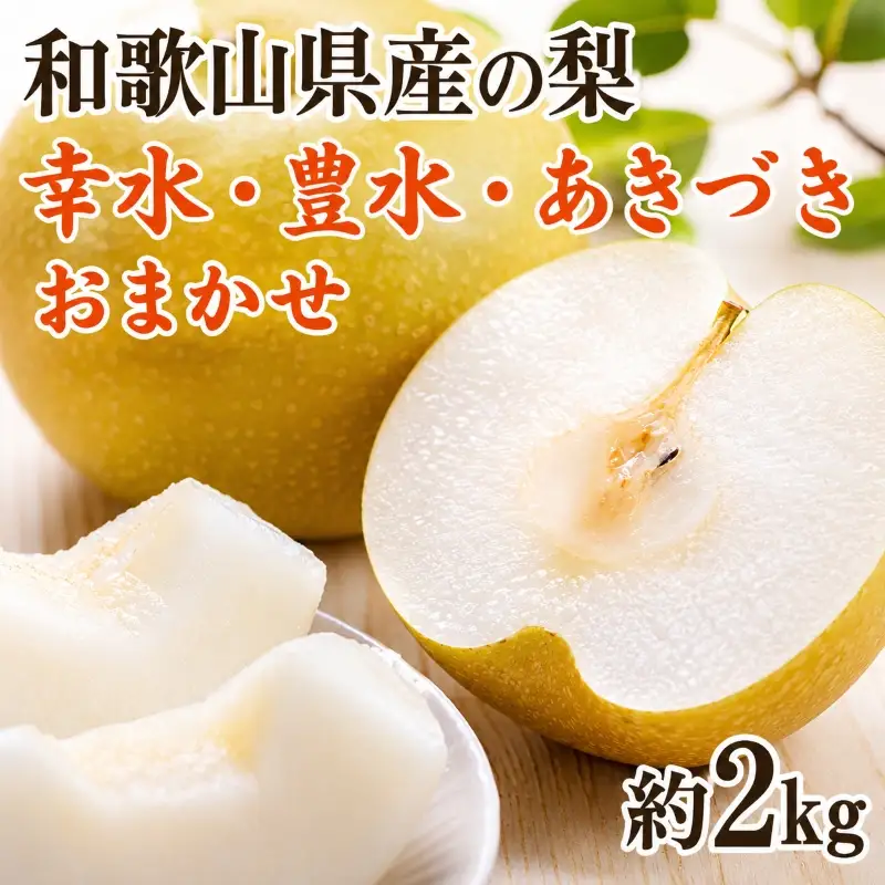 【2026年度発送】和歌山県産の梨約2kg(品種おまかせ)【2026年8月下旬～2026年9月下旬頃に順次発送予定】 【tec925C】