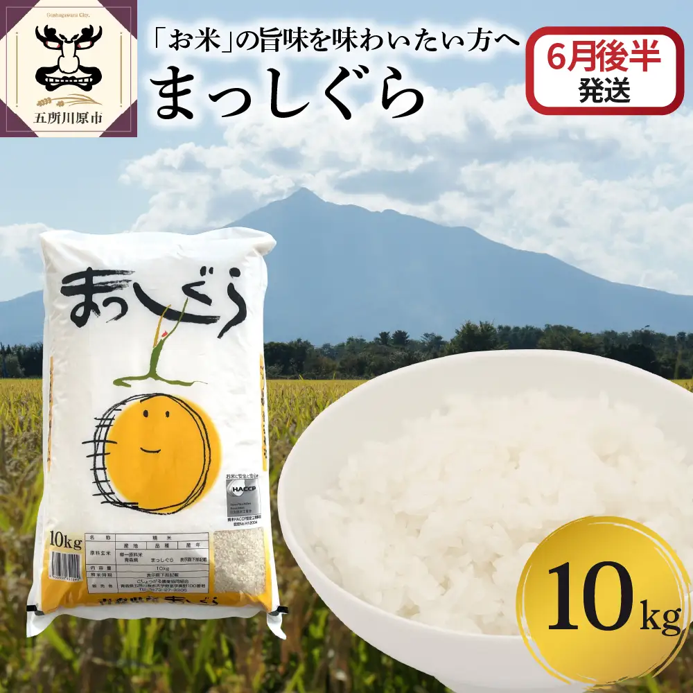 【2026年6月後半発送】まっしぐら10kg（白米）
