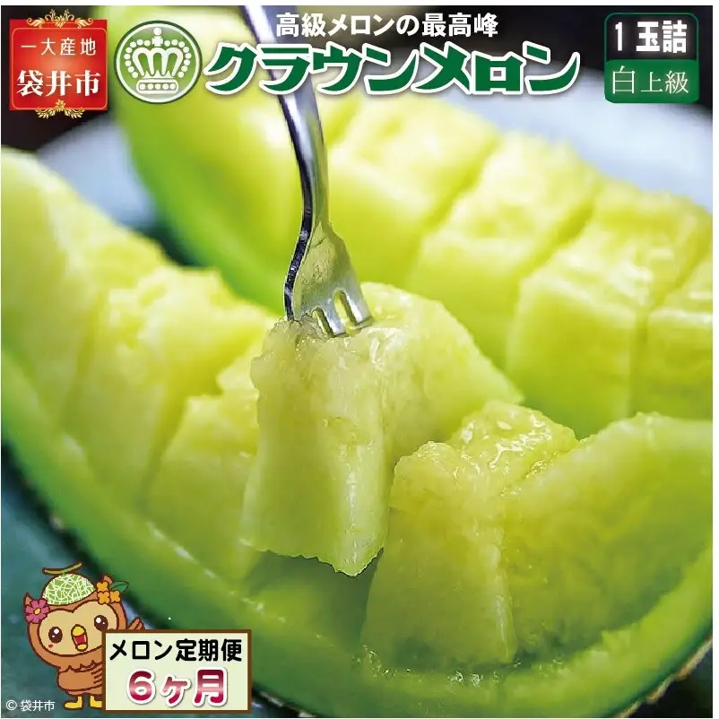【６ヶ月定期便】クラウンメロン（白上級）１玉入 