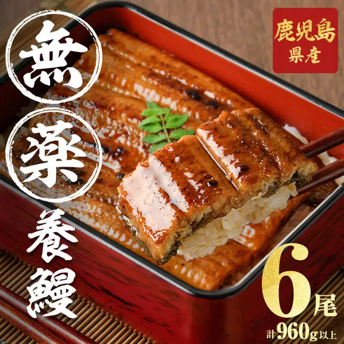 うなぎ 鹿児島産 山田のうなぎ ＜計960g以上＞ c2-014