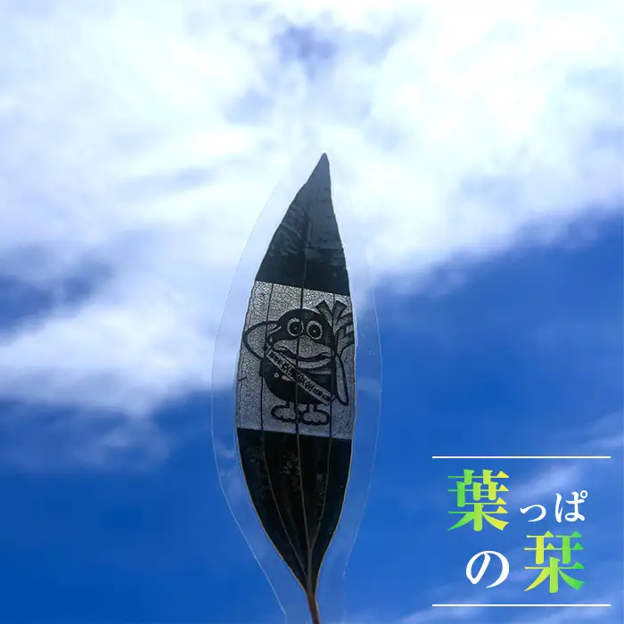 しおり | 葉っぱ 葉 栞 切り絵 デザイン アート オリジナル 1点もの 手作り ハンドメイド 葉 自然 風合い シンプル おしゃれ 可愛い 雑貨 デザイン ラミネート加工 埼玉県 越谷市