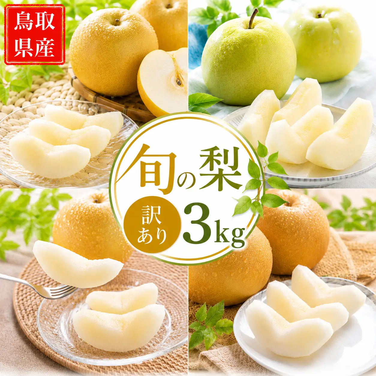 Y316 【訳あり】鳥取県産旬の梨 3kg