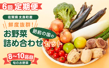 Q-49 【6回定期便】鮮度抜群！肥前の国のお野菜詰め合わせセット（8～10品目）　野菜セット 詰め合わせ 野菜詰め合わせ 野菜盛り合わせ 野菜ミックス 野菜ギフト 野菜 旬のお野菜 旬のくだもの 採れたて 新鮮野菜 常備菜 国産 佐賀県産 こだわり 産地直送 定期便 佐賀県 太良町