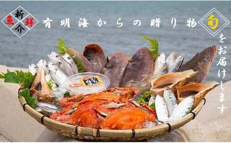 N-161 有明海からの贈り物 新鮮 旬 魚介類 有明海 海鮮 贈り物 ギフト お歳暮 おせち