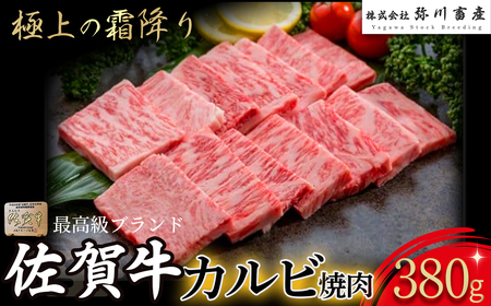 P39x1 佐賀牛 「カルビ焼肉」 380g カルビ 焼肉 霜降り ギフト 贈答 国産牛 和牛 ブランド牛 牛肉 肉 高級 人気 おすすめ 佐賀県 太良町