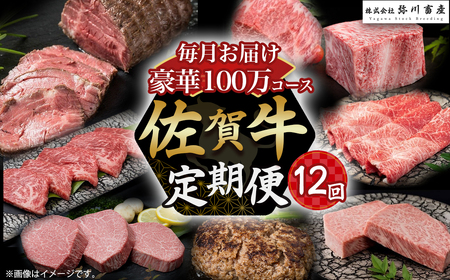 ZAF1 佐賀牛 毎月 豪華12回便 100万コース 定期便 佐賀牛 ブランド牛 国産牛 牛肉 肉 おすすめ 高級焼肉 ご褒美 佐賀県 太良町