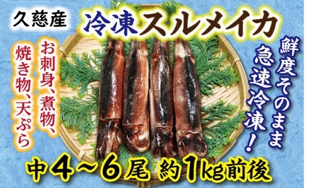 【久慈港水揚げ】冷凍スルメイカ中４～６本（約1ｋｇ前後）