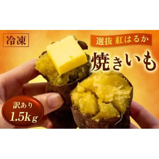 冷凍 焼き芋  選抜 紅はるか やきいも 1.5kg 【田條園】