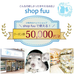 shop fuuで使えるクーポン券（50,000円）[145S81]