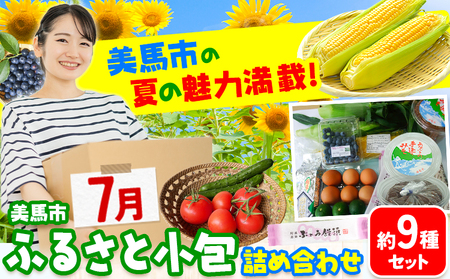 ふるさと小包詰め合わせ7月 約9種セット