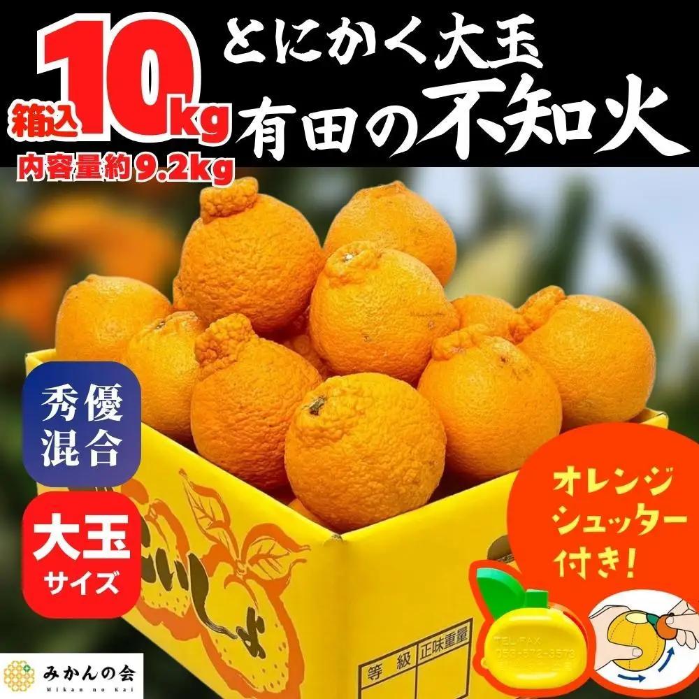 不知火 大玉 どっこいしょ 箱込 10kg (内容量約 9.2kg) 秀優混合 和歌山県産［みかんの会］