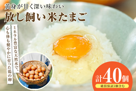 放し飼い米たまご35個+5個保証（計40個）農家直送 新鮮 卵 タマゴ 赤卵 玉子 鶏卵 朝食 夕食 夜食 朝ごはん たまご焼き オムレツ 卵ご飯 料理 濃厚 飼料にこだわった 卵かけご飯 米たまご 生卵 大容量 お取り寄せ 愛知県 常滑市