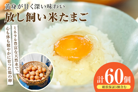 放し飼い米たまご55個+5個保証（計60個）農家直送 新鮮 卵 タマゴ 赤卵 玉子 鶏卵 朝食 夕食 夜食 朝ごはん たまご焼き オムレツ 卵ご飯 料理 濃厚 飼料にこだわった 卵かけご飯 米たまご 生卵 大容量 お取り寄せ 愛知県 常滑市