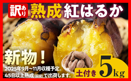 さつまいも 訳あり 紅はるか 5kg 焼き芋 サツマイモ 野菜