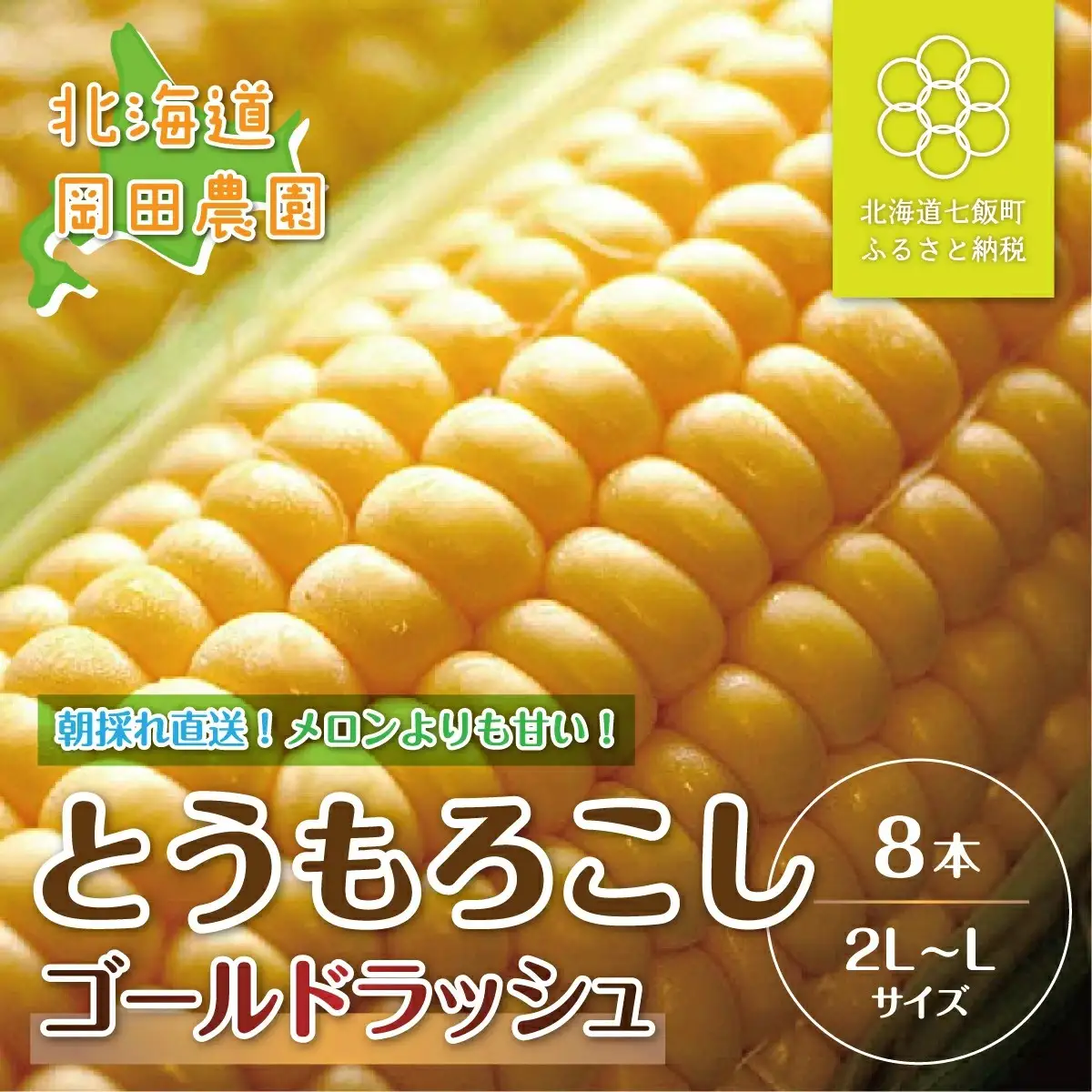 ＜寄附額を見直しました＞【令和8年発送先行予約】北海道七飯町産とうもろこし「ゴールドラッシュ」8本セット NAZ013 | とうもろこし