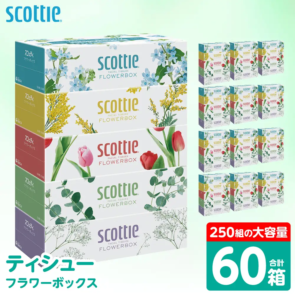 スコッティ ティッシュ 250組 60箱 ティシュー