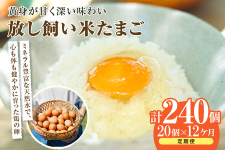 【12か月定期便】放し飼い米たまご15個+5個保証（計20個）農家直送 新鮮 卵 タマゴ 赤卵 玉子 鶏卵 朝食 夕食 夜食 朝ごはん たまご焼き オムレツ 卵ご飯 料理 濃厚 飼料にこだわった 卵かけご飯 米たまご 生卵 大容量 お取り寄せ 愛知県 常滑市