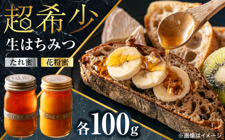 【1週間以内発送】日本蜜蜂 はちみつ 100g×2 [ARBN001] 国産 はちみつ