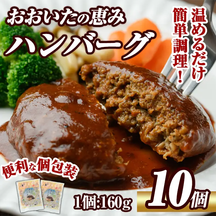 おおいたの恵みハンバーグ(計1.6kg・160g×10個)牛肉 豚肉 肉 デミグラスソース おかず 小分け 個包装 温めるだけ 【opng002】【全国農業協同組合連合会 大分県本部】