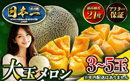 来年2026年先行予約！糖度抜群！奇跡のクインシーメロン（赤肉）3～5玉入り