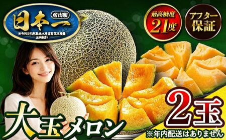 来年2026年先行予約！糖度抜群！奇跡のクインシーメロン（赤肉）2玉入り