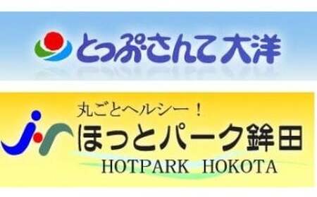 ほっとパーク鉾田・とっぷさんて大洋　施設利用回数券