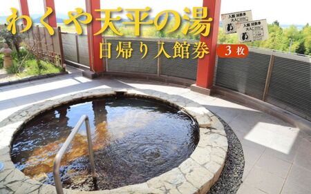 わくや天平の湯日帰り温泉入館回数券（11回分）◇【machikan007】