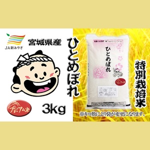 元気くん市場　ひとめぼれ  3kg【mygs006】