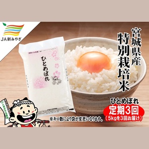 定期便 元気くん市場ひとめぼれ定期便　5kg×3回【3ヶ月連続でお届け】【mygs-tkb001】