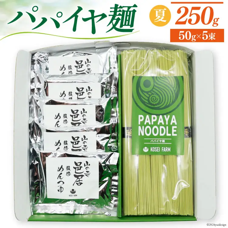 AI131 パパイヤ麺 5食 セット めんつゆ付 [長崎県 島原市]