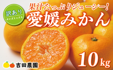 【愛媛みかん】 訳あり 10kg みかん