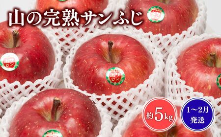 【レビューキャンペーン】≪1~3月発送≫山の完熟サンふじ約5kg 【青森県 平川市 吹田りんご園】年明け発送 サンふじ ふじ りんご リンゴ アップル 果物 くだもの フルーツ 平川市産 完熟りんご [hi-0010-003]