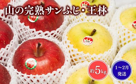 【レビューキャンペーン】≪1~3月発送≫山の完熟サンふじ・王林約5kg 【青森県 平川市 吹田りんご園】王林 おうりん サンふじ ふじ りんご リンゴ アップル 果物 くだもの フルーツ 平川市産 完熟りんご [hi-0010-005]