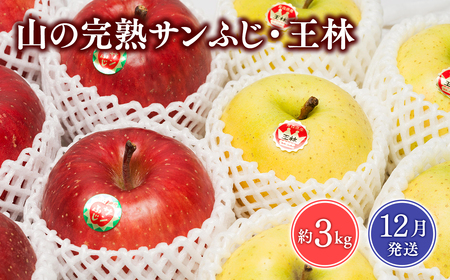 【レビューキャンペーン】≪2026年12月発送≫山の完熟サンふじ・王林合計約3kg【青森県 平川市 吹田りんご園】王林 おうりん サンふじ ふじ りんご リンゴ アップル 果物 くだもの フルーツ 平川市産 完熟りんご [hi-0010-010]