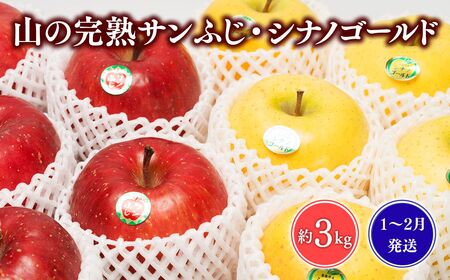 【レビューキャンペーン】≪1~3月発送≫山の完熟サンふじ・シナノゴールド約3kg 【青森県 平川市 吹田りんご園】 [hi-0010-013]
