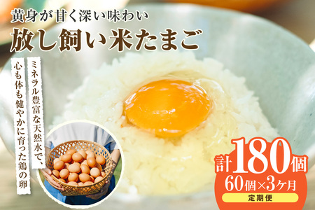 【3か月定期便】放し飼い米たまご55個+5個保証（計60個）農家直送 新鮮 卵 タマゴ 赤卵 玉子 鶏卵 朝食 夕食 夜食 朝ごはん たまご焼き オムレツ 卵ご飯 料理 濃厚 飼料にこだわった 卵かけご飯 米たまご 生卵 大容量 お取り寄せ 愛知県 常滑市