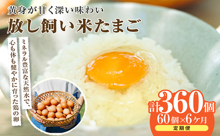 【6か月定期便】放し飼い米たまご55個+5個保証（計60個）農家直送 新鮮 卵 タマゴ 赤卵 玉子 鶏卵 朝食 夕食 夜食 朝ごはん たまご焼き オムレツ 卵ご飯 料理 濃厚 飼料にこだわった 卵かけご飯 米たまご 生卵 大容量 お取り寄せ 愛知県 常滑市