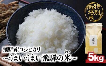 【令和7年産】 飛騨産コシヒカリ 「うまいうまい飛騨の米」 白米 5kg | こしひかり 飛騨産 精米 お米 特別栽培米 飛騨高山 ファームジネンいいむら GG015